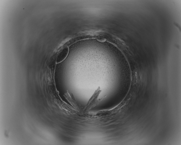 X0000100231158200806061402