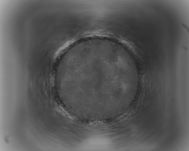 X0000100231159200806061402