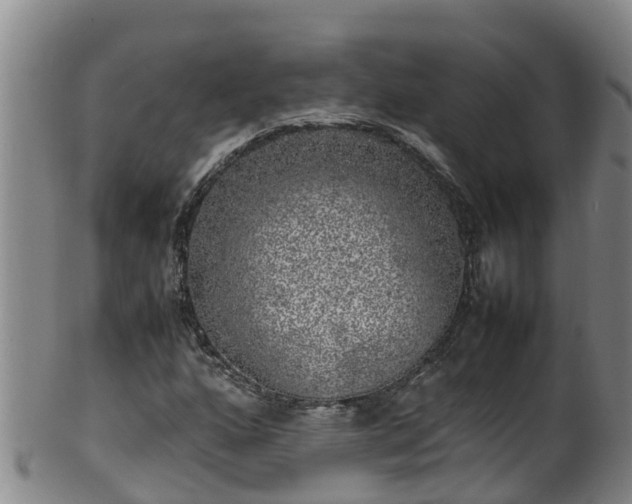 X0000100231160200806061402