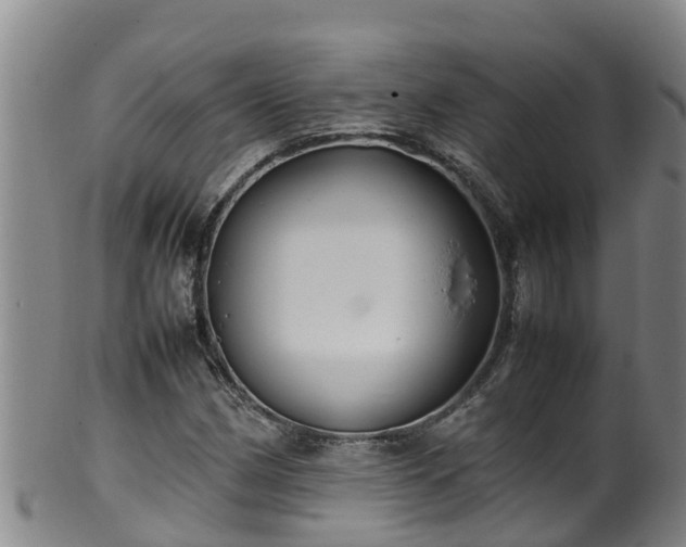 X0000100231162200806061402