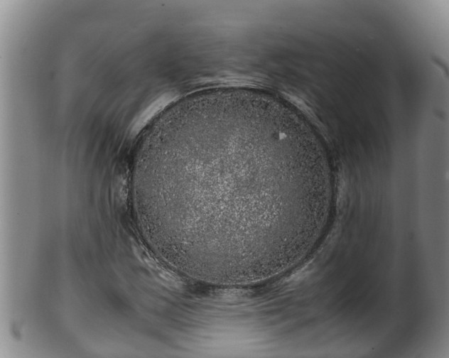 X0000100231163200806061402
