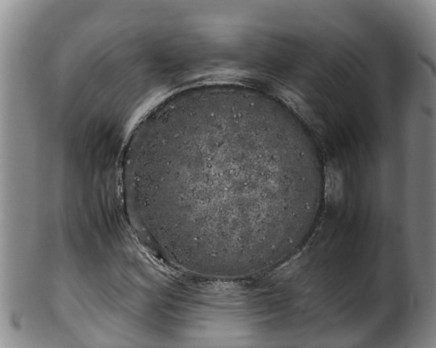 X0000100231164200806061402