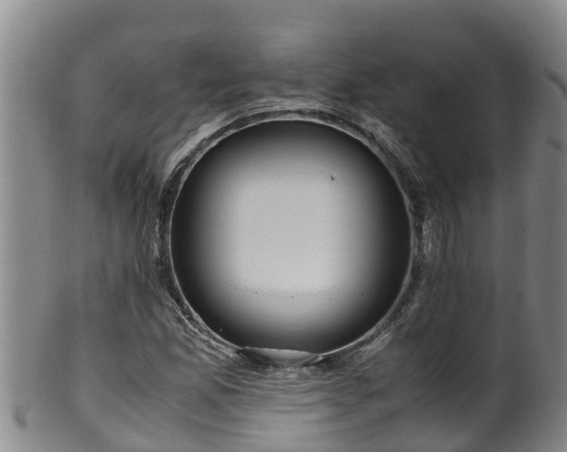 X0000100231165200806061402