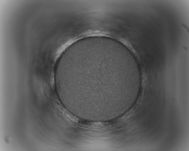 X0000100231167200806061402