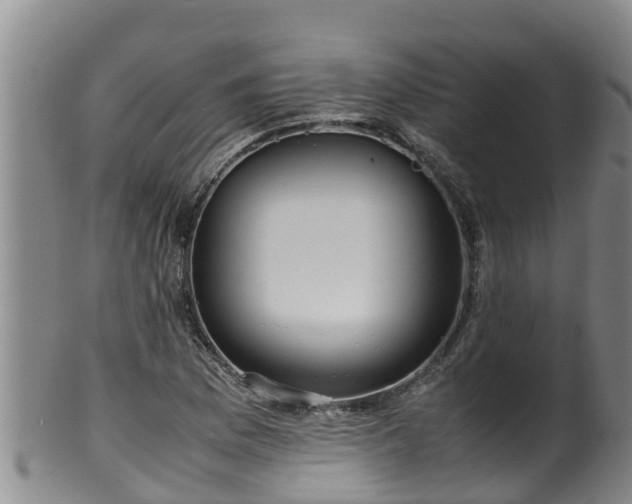 X0000100231169200806061402