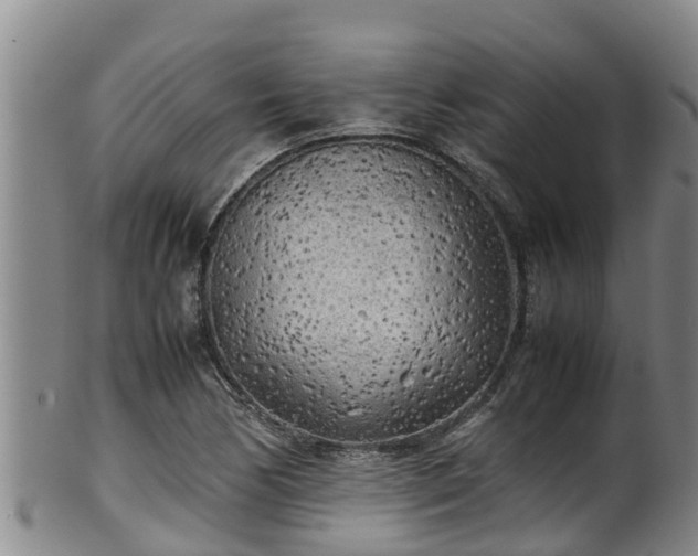 X0000100231170200806061402