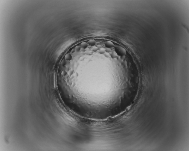 X0000100231171200806061402