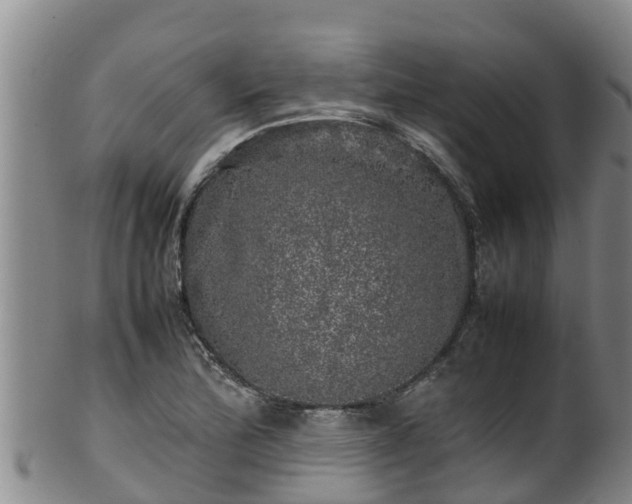 X0000100231172200806061402