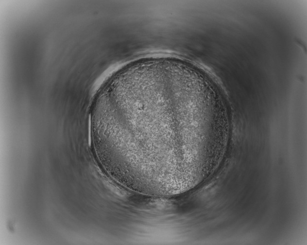 X0000100231175200806061402