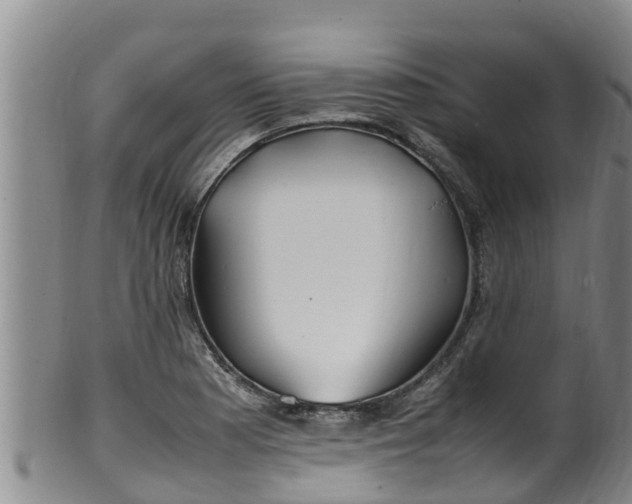 X0000100231177200806061402