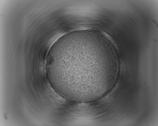 X0000100231178200806061402