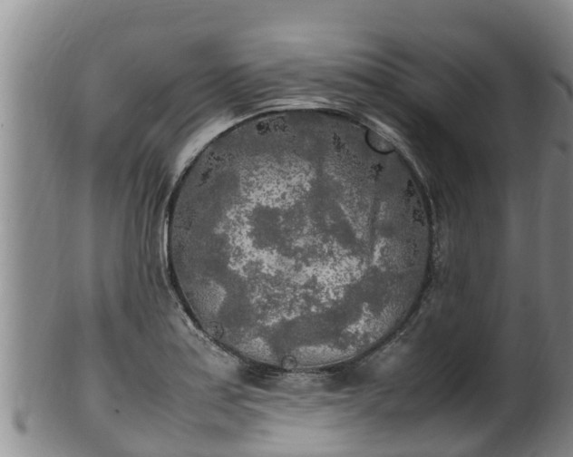 X0000100231179200806061402