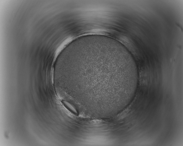 X0000100231180200806061402