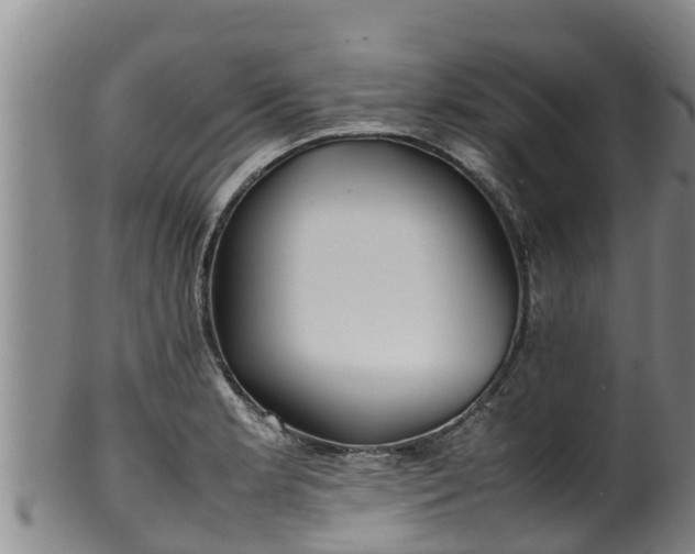 X0000100231181200806061402