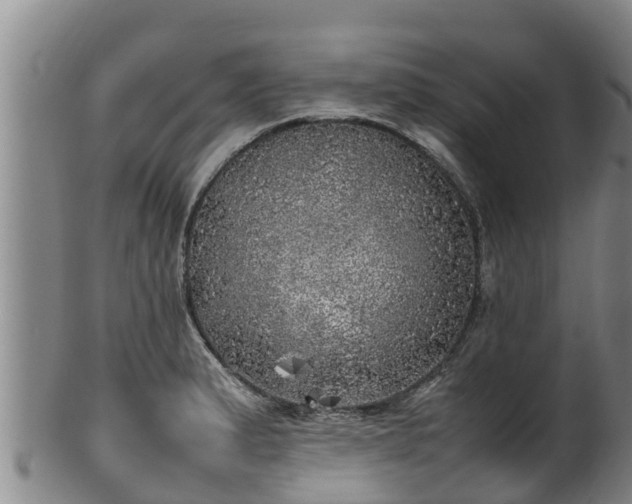 X0000100231183200806061402