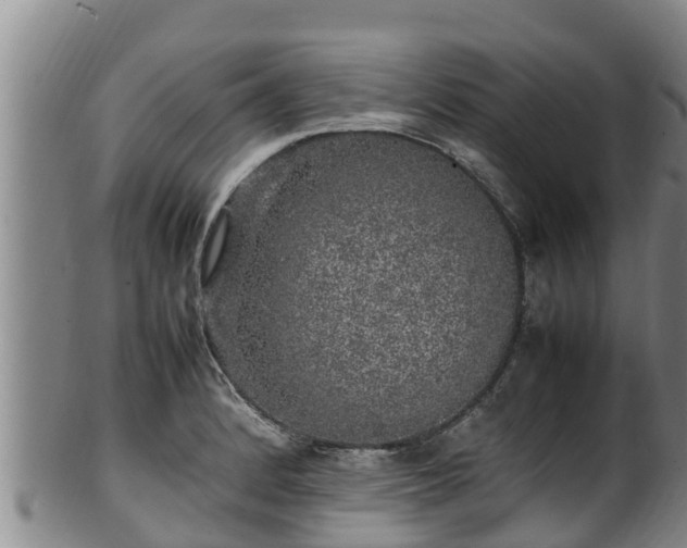 X0000100231184200806061402