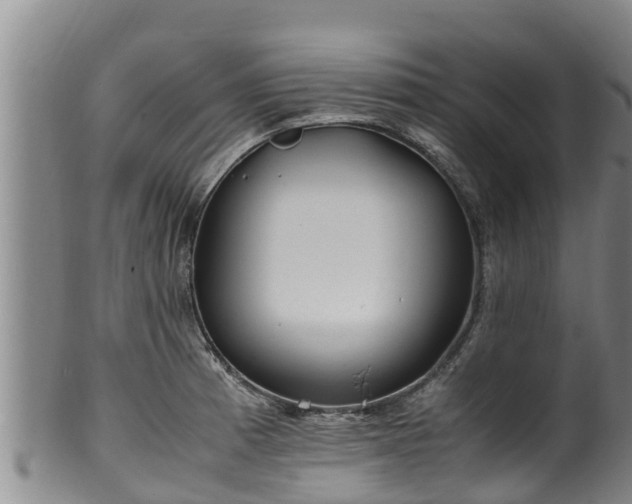 X0000100231185200806061402