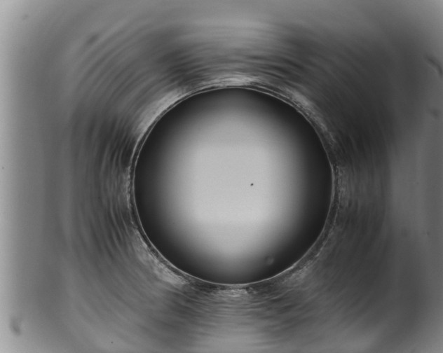 X0000100231186200806061402