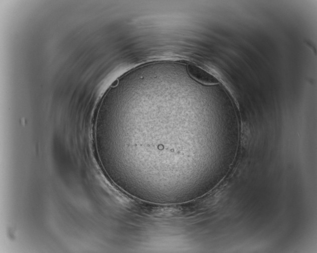 X0000100231187200806061402