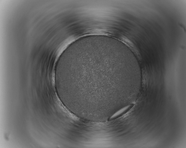 X0000100231188200806061402