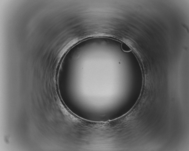 X0000100231189200806061402