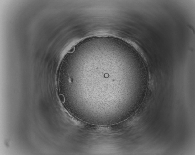 X0000100231191200806061401