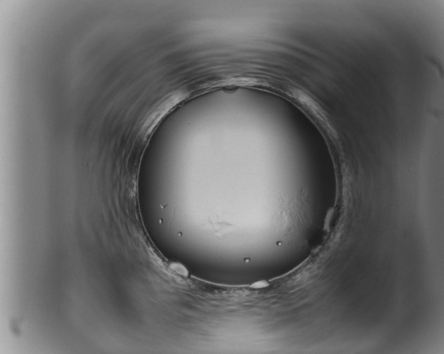 X0000100231193200806061401