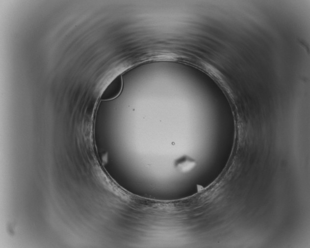 X0000100231194200806061401