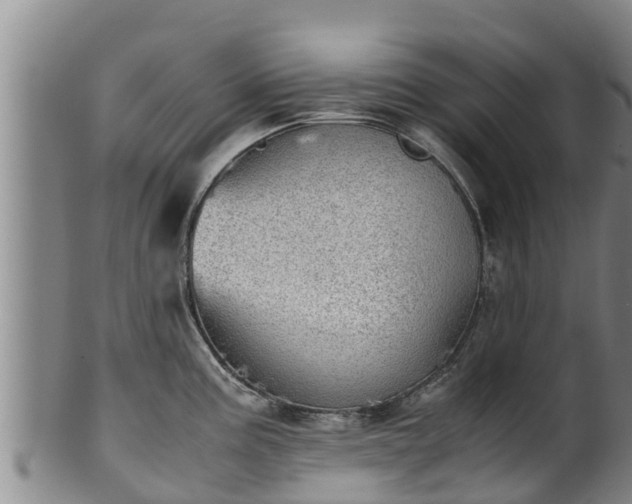 X0000100231195200806061401