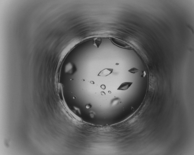 X0000100231196200806061401