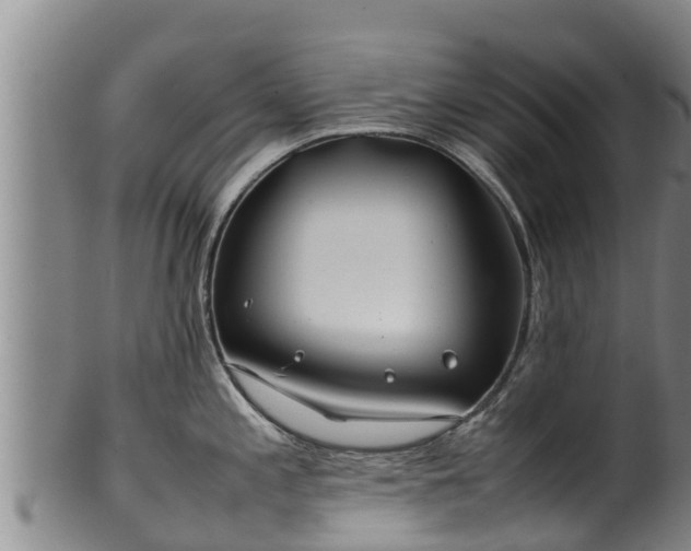 X0000100231197200806061401