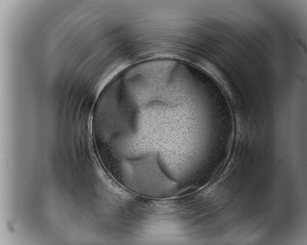 X0000100231198200806061401