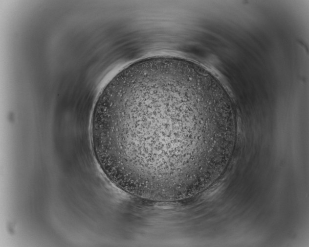 X0000100231199200806061401