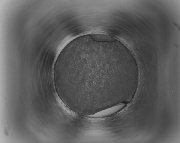 X0000100231200200806061401