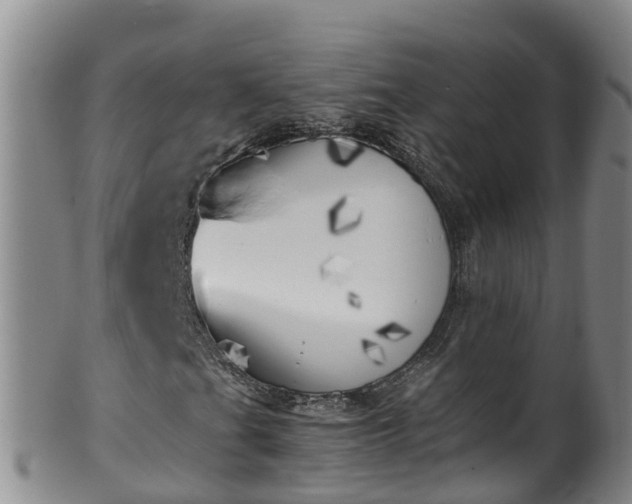 X0000100231201200806061400