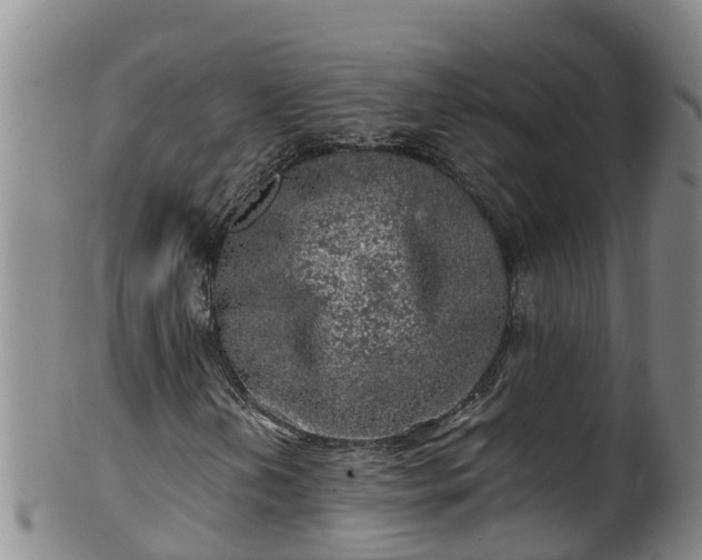 X0000100231202200806061400