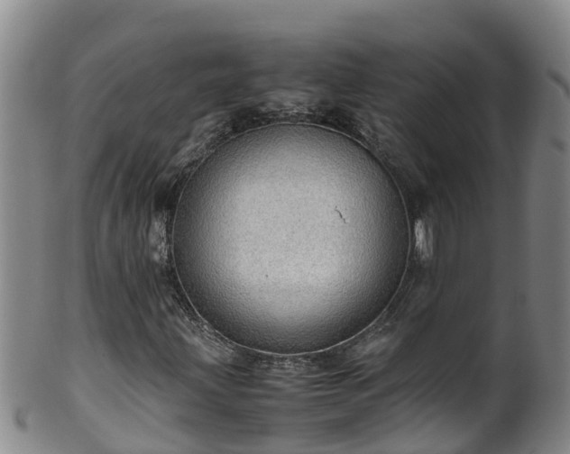 X0000100231203200806061401