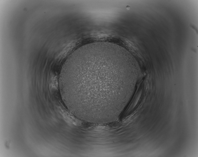 X0000100231204200806061401