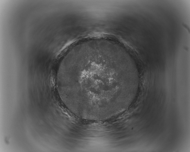 X0000100231206200806061401