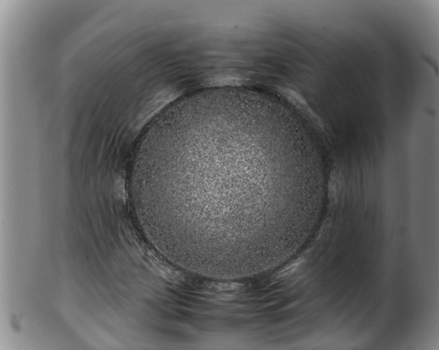 X0000100231209200806061401