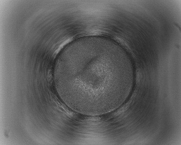 X0000100231210200806061401