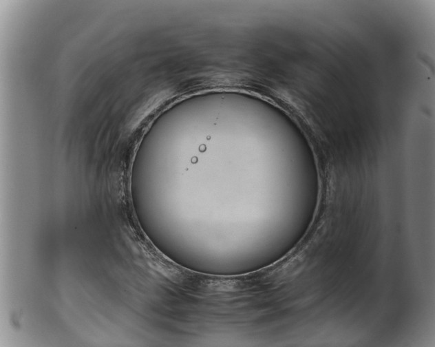 X0000100231211200806061401