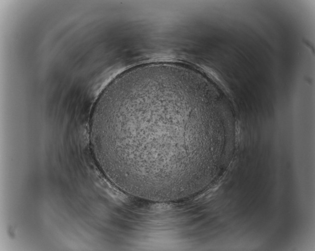 X0000100231212200806061401