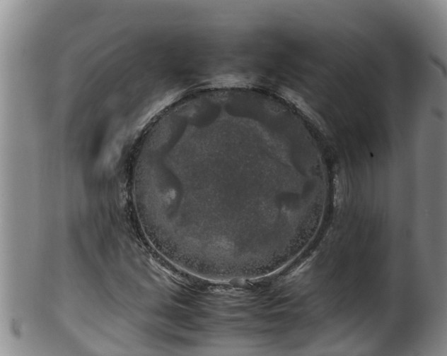 X0000100231213200806061401