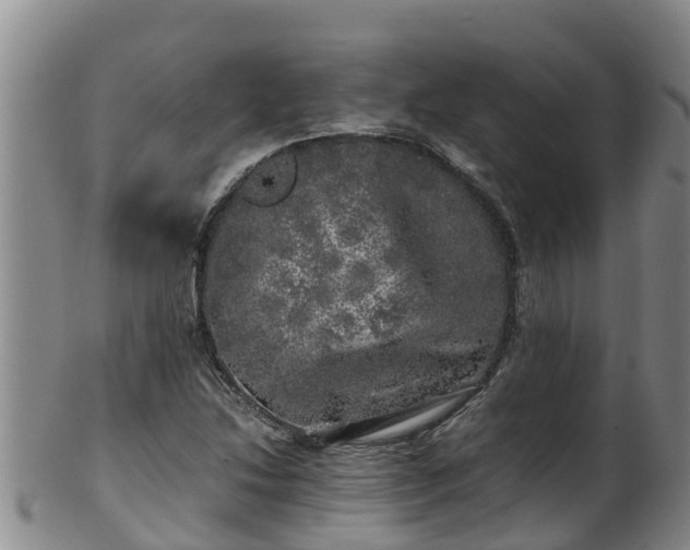 X0000100231214200806061401