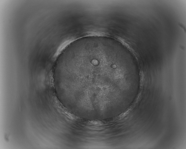 X0000100231215200806061401