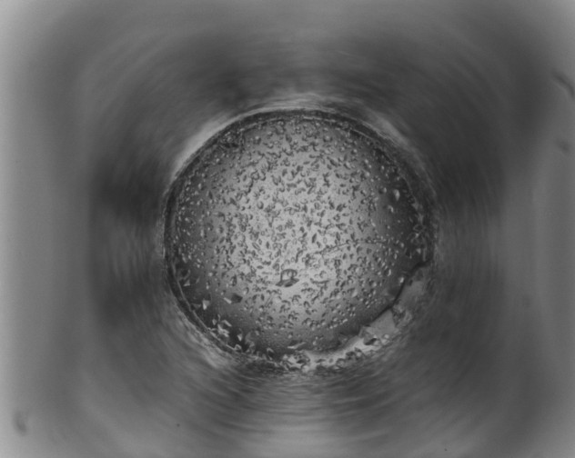 X0000100231216200806061401