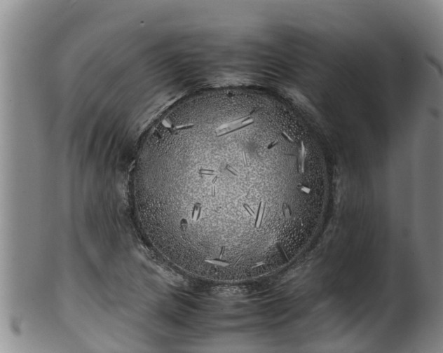 X0000100231217200806061401