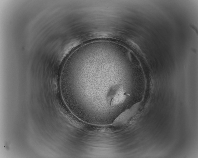 X0000100231218200806061401