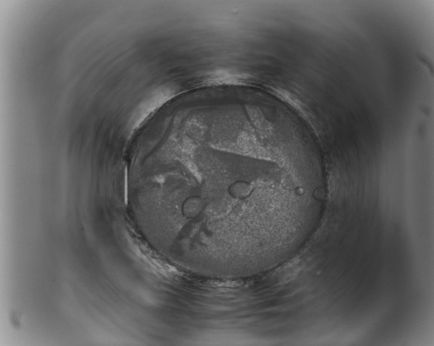 X0000100231219200806061401